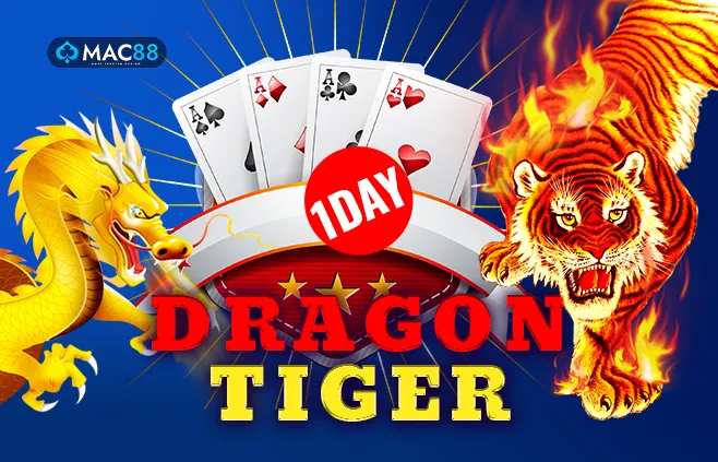 1day dragon tiger lion